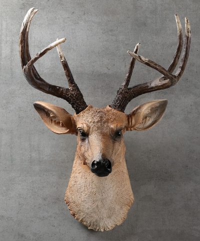 american realistic deer head