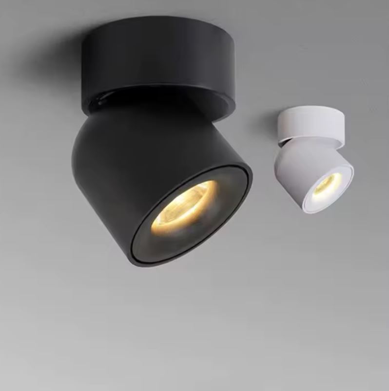 Adjustable LED Spot Light