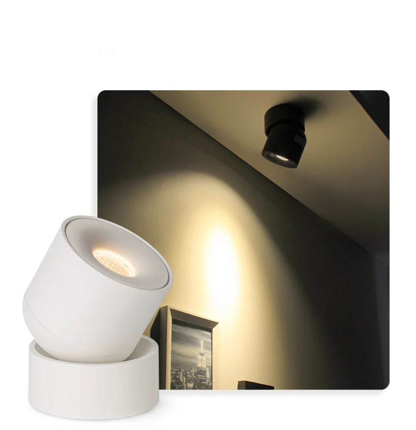 Adjustable Recessed LED Light