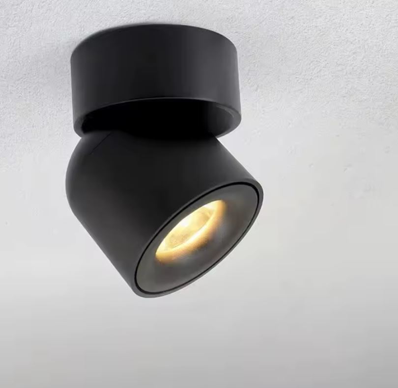 Adjustable Recessed Light LED
