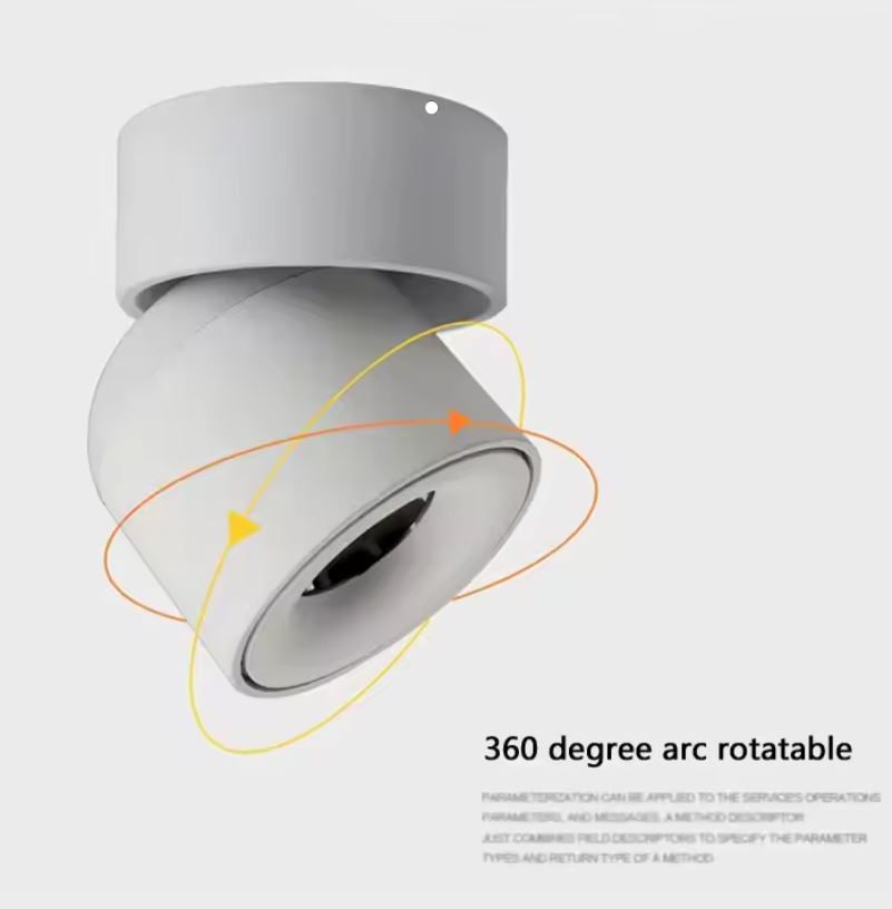 Adjustable Recessed Light