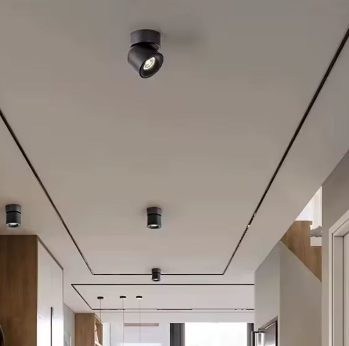 Adjustable Recessed Spot Light