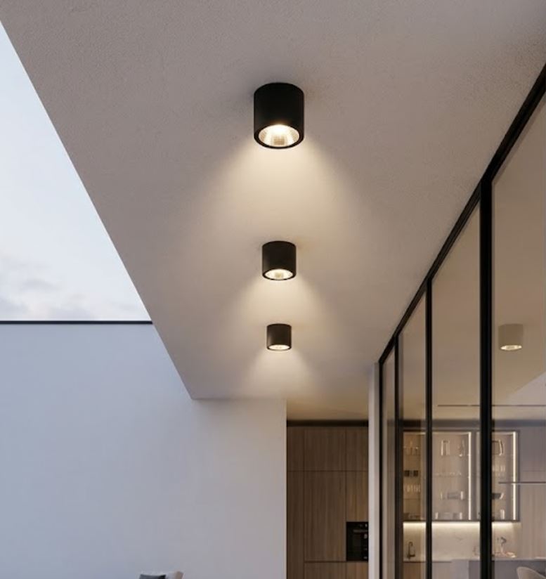 Cantilever Surface Downlight IP65