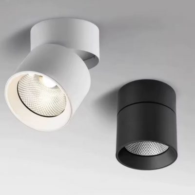 Rotatable Cylindrical Surface Downlight
