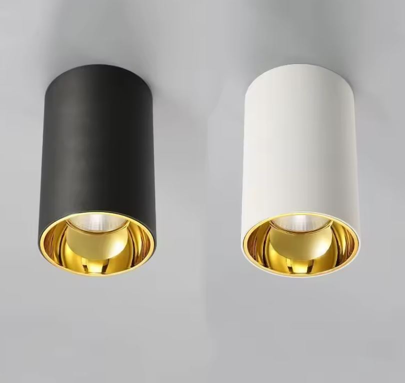 Black and Gold Surface-Mounted Downlight Cantilever
