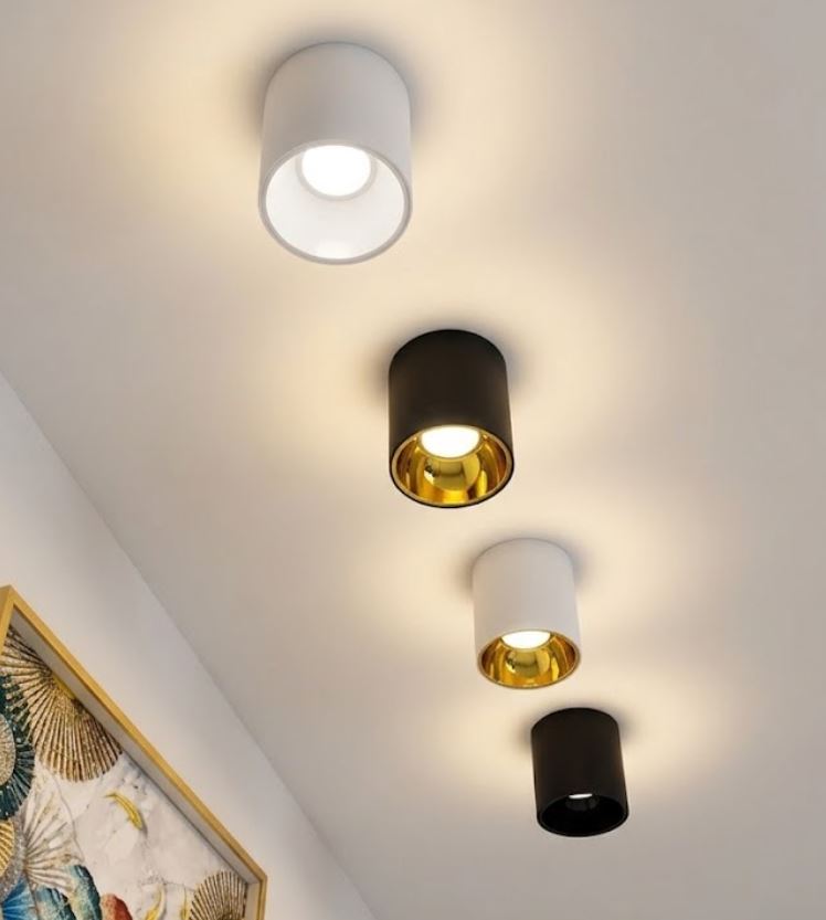 Black and Gold Surface-Mounted Downlight colors