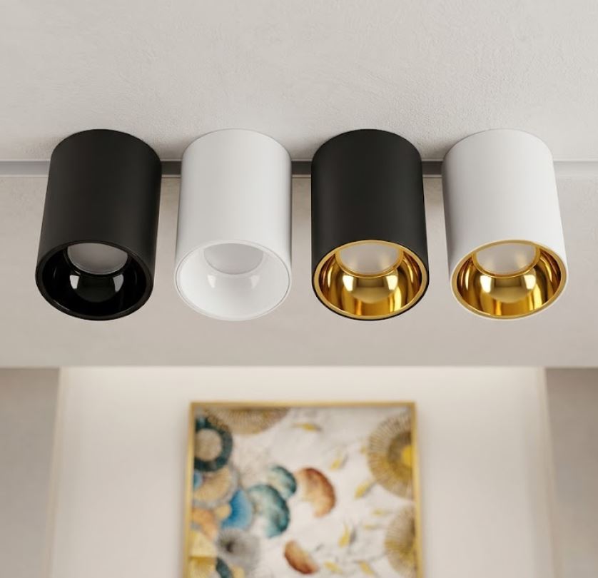 Black and Gold Surface-Mounted Downlight