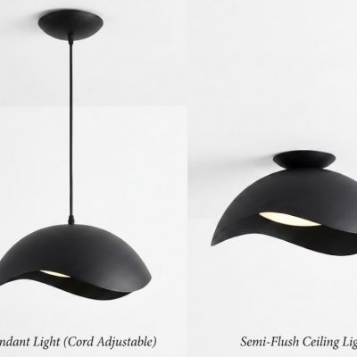 Bowl Pendant/Flush Ceiling Light