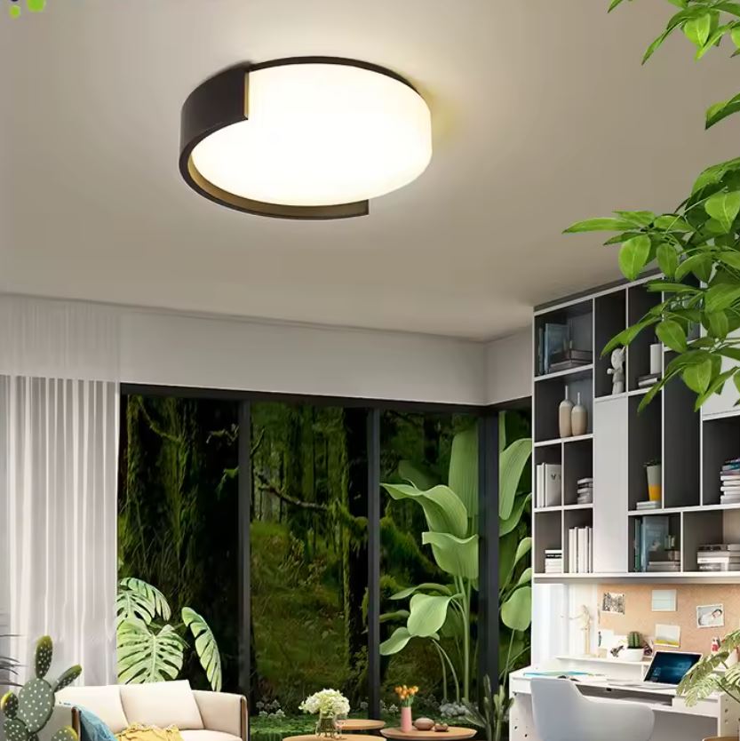 Minimalist Flush Ceiling Light