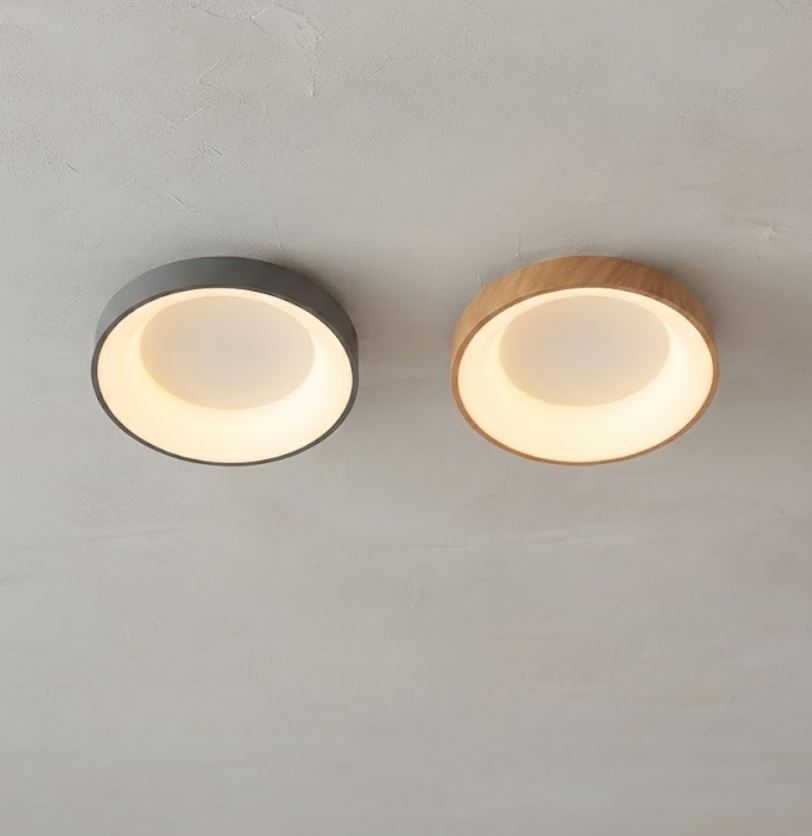 Circular Flush Mount LED Ceiling Light