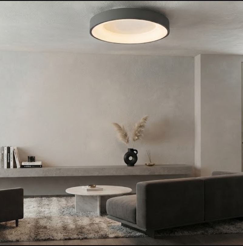 Circular Mount LED Ceiling Light