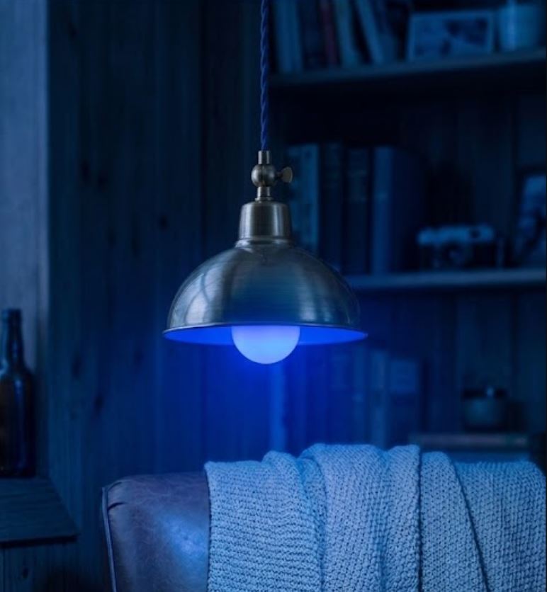 Dimmable WiFi Smart Bulb Voice Control)